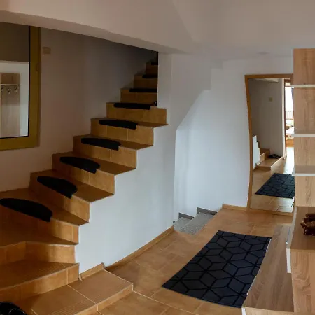 Villa Viki *